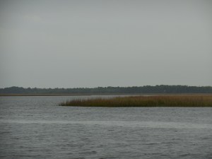 Jacksonville, FL area