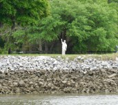 South Carolina Welcome Committee