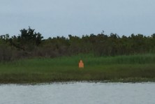 Target Practice Camp Lejeune 