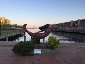 Mermaids are everywhere Norfolk, VA 