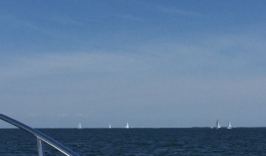 Sailboats on the bay