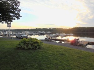 Morning at the marina