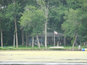 Neon fish lights - Oswego Canal