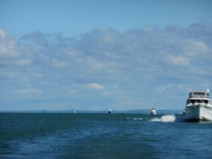 Loopers coming into Drummond Island