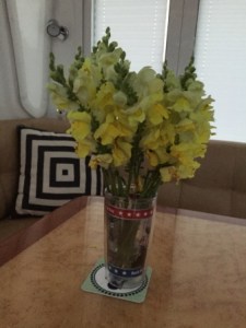 Flowers from Pentwater FMKts