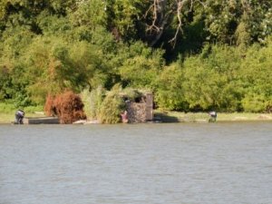 Building a duck blind