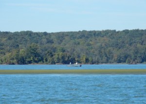 Western Shore - TN River
