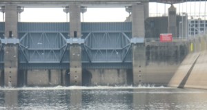 Asian Carrp jump - Barkley Lock & dam