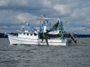 Shrimper on Mobile Bay