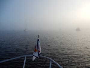 Foggy Anchorage