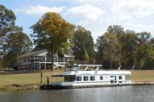 The Alligator Hilton