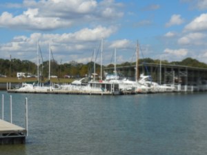 Kingfisher Marina
