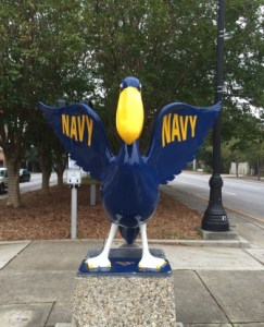 Navy BA Pelican