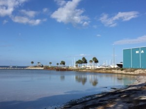 PSJ Marina from park