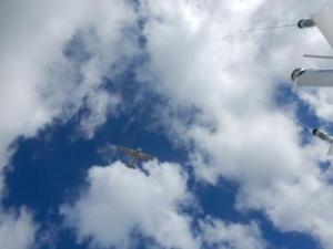 Plane Landing over us at Venice Airport