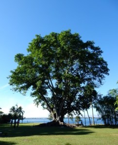 Edison & Ford Estate