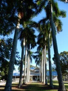 Edison & Ford Estate