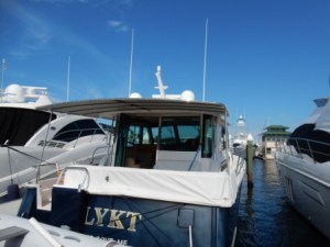 Sven & Kathy ("Flykt")