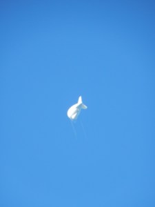 Radar blimp - Cudjoe Key