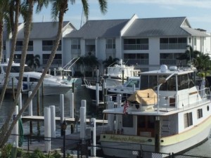 Palm Island Marina