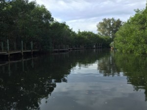 Canal around Palm Island