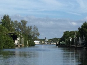 Homes on Palm Island