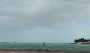 KW Harbor - 40 kt day