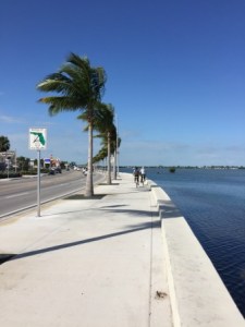 Bike & Pedestrian path
