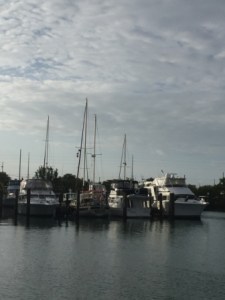 MYC Marina