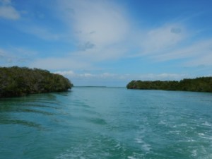 Entrance to Snake Creek