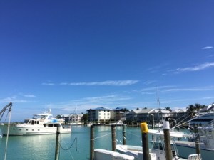 Hawk's Cay - Otter coming in