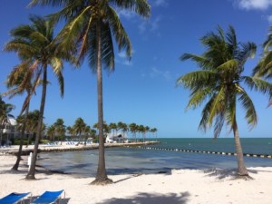 Tranquility Bay Beach