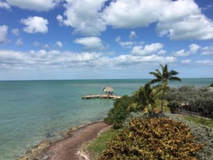 North side of Pigeon Key