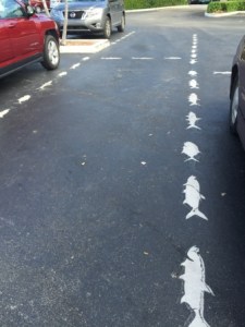 Parking lot stipes at Wide World of Sportsman - Islamorada