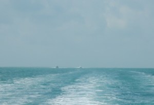 Rondezvous with Endoxi & Sassified