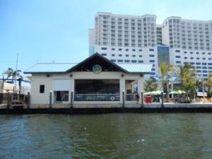 5 O'clock Somewhere Bar - Hollywood Bch