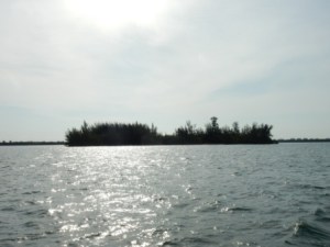 Morning on ICW north of Ft. Pierce