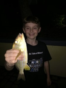 Daniel and bait fish