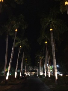 CRYC entrance at night