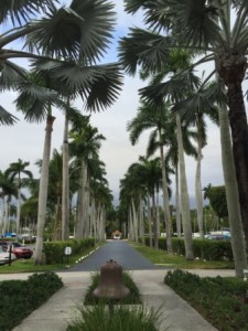 CRYC entrance looking to gate