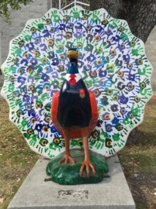 Coconut Grove peacock statue