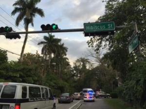 Grove traffic for schools