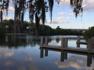 Lagoon at MacWilliam park