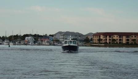 Seabird following behind in the ICW