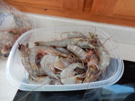 Fresh shrimp for dinner