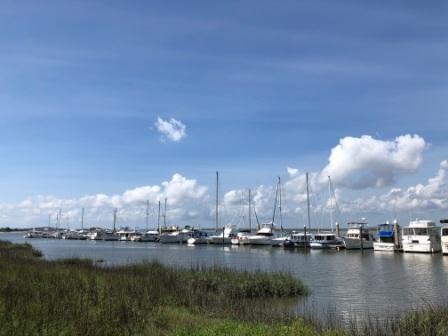 Jekyll Island Harbor Marina