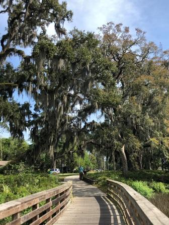 Bike Path through marsh near Historic District