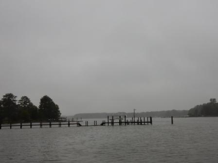 Drizzly morning at Put In Creek