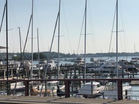 Annapolis Yacht Basin and Moorings