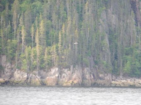 Western cliffs on the Saguenay River